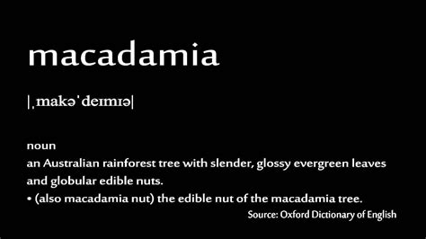 macadamia pronunciation